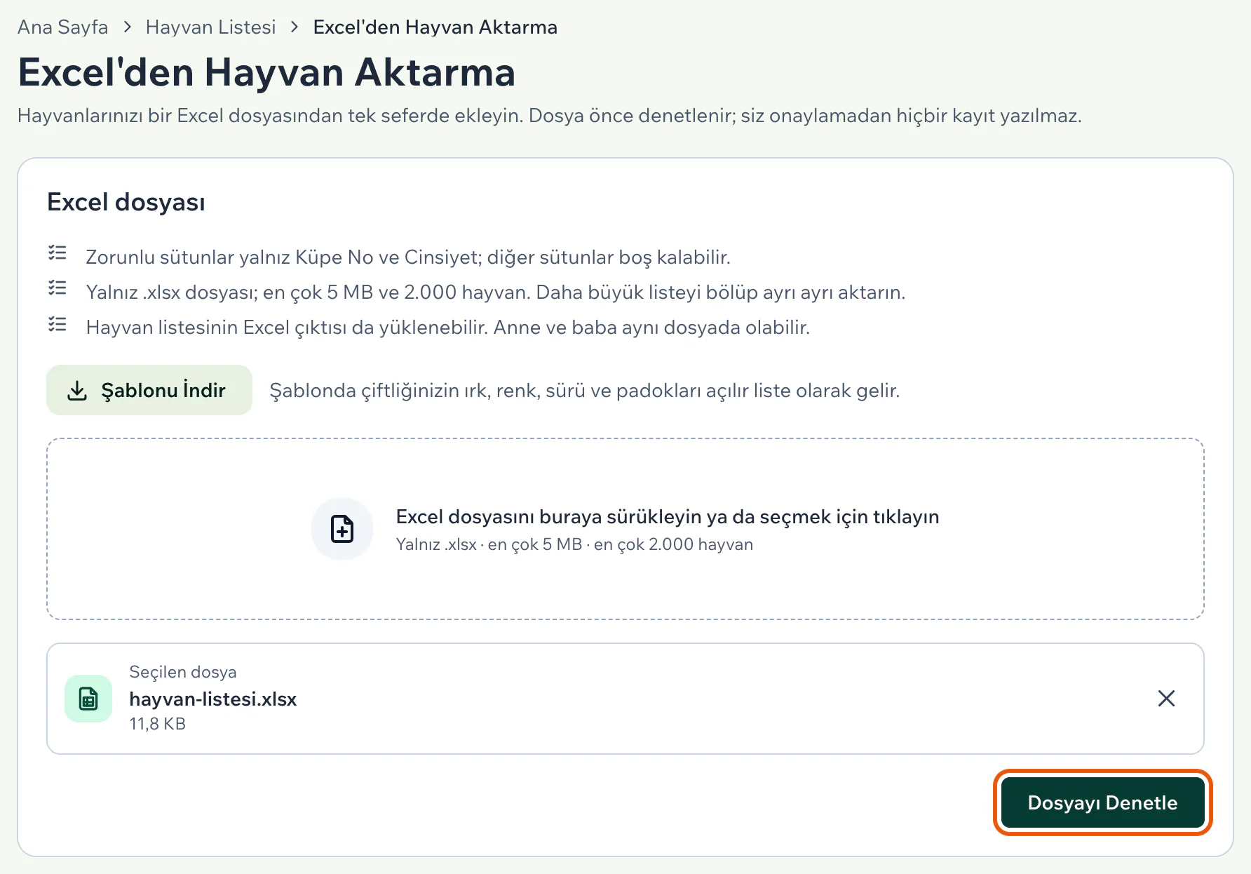 Excel'den Hayvan Aktarma sayfası: kurallar, Şablonu İndir düğmesi, seçilen hayvan-listesi.xlsx dosyası ve vurgulu Dosyayı Denetle düğmesi