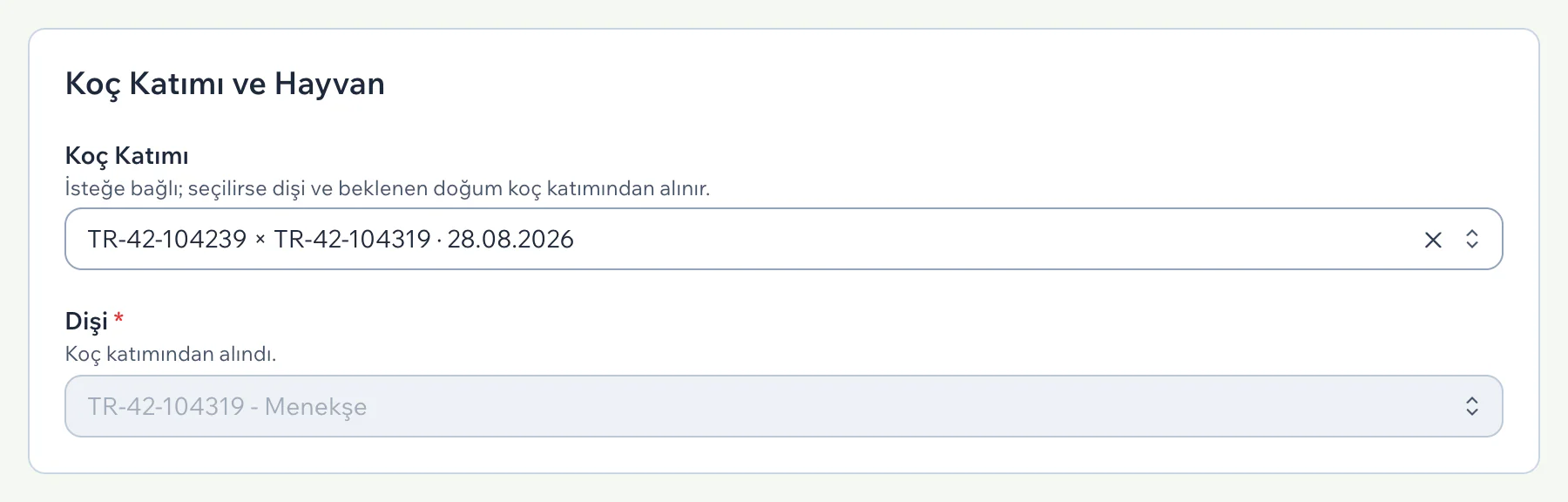 Koç Katımı ve Hayvan bölümünde koç katımı seçili, dişi alanı koç katımından alınmış ve kilitli