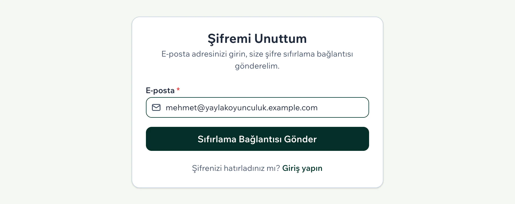 Şifremi Unuttum sayfasında e-posta alanı ve Sıfırlama Bağlantısı Gönder düğmesi