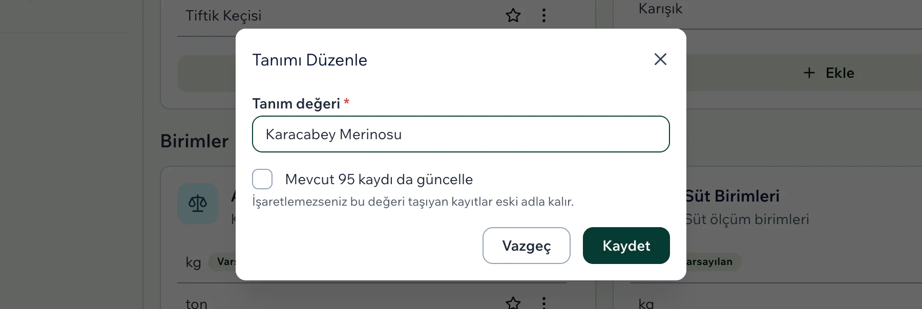 Tanımı Düzenle penceresinde yeni ad yazılı, altında Mevcut 95 kaydı da güncelle kutusu