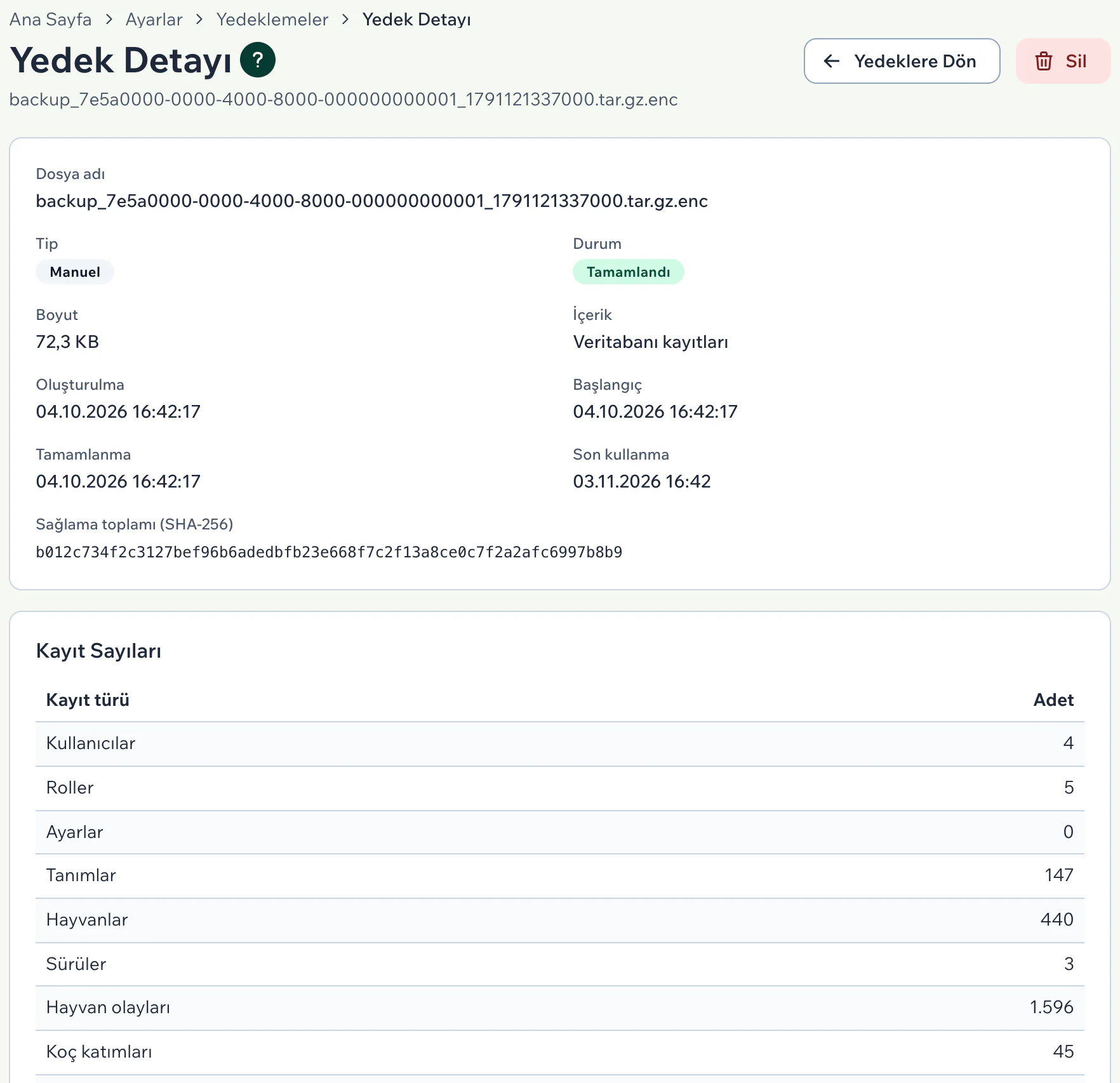 Yedek Detayı sayfası: dosya adı, tip, durum, boyut, içerik, tarihler ve Kayıt Sayıları tablosunun ilk satırları
